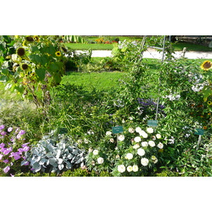 照片 法国(France) 巴黎(Paris) 巴黎植物园(Jardin des Plantes) 2007-08 176