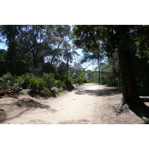 照片 法国(France) 波克罗勒岛(Porquerolles Island) 库尔塔德平原(Plaine de la courtade) 2008-05 31