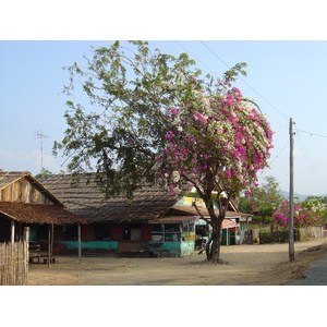照片 缅甸(Myanmar) 茂马干海滩(Maungmagan beach) 2005-01 26