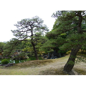 照片 日本(Japan) 京都(Kyoto) 二条城(Nijo Castle) 二之丸庭园(Ninomaru Garden) 2010-06 25