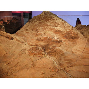 照片 法国(France) 巴黎(Paris) 大皇宫(Grand Palais) 2012-01 145