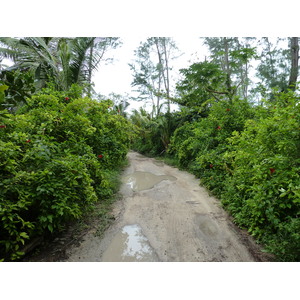 照片 塞舌尔(Seychelles) 拉迪格岛(La Digue) 2011-10 107
