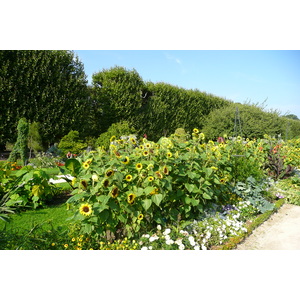 照片 法国(France) 巴黎(Paris) 巴黎植物园(Jardin des Plantes) 2007-08 21