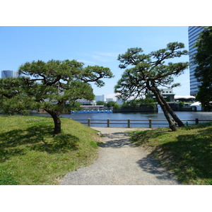 照片 日本(Japan) 东京(Tokyo) 滨离宫恩赐庭园(Hama rikyu Gardens) 2010-06 21