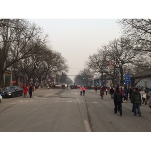照片 中国(China) 北京(Beijing) 2015-12 11