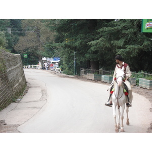照片 巴基斯坦(Pakistan) 穆里(Murree) 2006-08 75