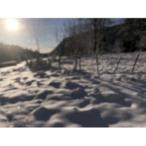 照片 瑞士(Switzerland) 克莱恩-蒙塔纳(Crans Montana) 2020-12 234