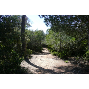 照片 法国(France) 波克罗勒岛(Porquerolles Island) 库尔塔德平原(Plaine de la courtade) 2008-05 8