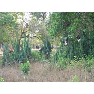 照片 缅甸(Myanmar) 茂马干海滩(Maungmagan beach) 2005-01 27