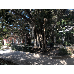 照片 意大利(Italy) 西西里岛(Sicily) 奥尔蒂贾岛(Ortigia) 2020-02 45