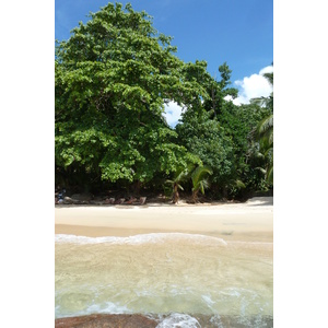 照片 塞舌尔(Seychelles) 马埃岛(Mahe) 2011-10 197