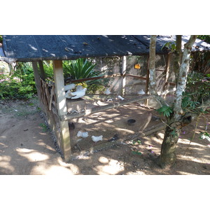 照片 泰国(Thailand) 清迈(Chiang Mai) 湄沙蛇园(Mae Sa Snake Farm) 2010-12 31
