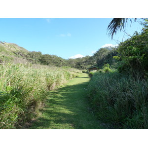 照片 斐济(Fiji) 辛加东卡沙丘国家公园(Sigatoka sand dunes national park) 2010-05 35