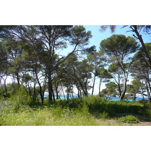 照片 法国(France) 波克罗勒岛(Porquerolles Island) 库尔塔德平原(Plaine de la courtade) 2008-05 10