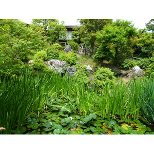 照片 日本(Japan) 京都(Kyoto) 涉成园(Shosei en Garden) 2010-06 81