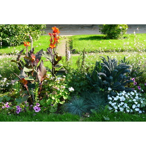 照片 法国(France) 巴黎(Paris) 巴黎植物园(Jardin des Plantes) 2007-08 192