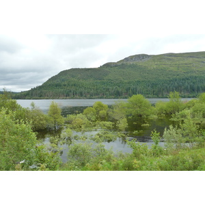 照片 英国(United Kingdom) 苏格兰(Scotland) 阿维莫尔至拉甘湖公路(Aviemore to Loch Laggan road) 2011-07 0