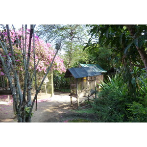 照片 泰国(Thailand) 清迈(Chiang Mai) 湄沙蛇园(Mae Sa Snake Farm) 2010-12 80