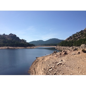 照片 法国(France) 科西嘉岛(Corsica) 奥斯佩达莱森林(L'ospedale Forest) 2012-09 19