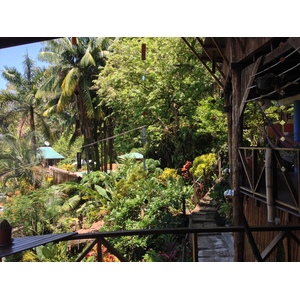 照片 哥斯达黎加(Costa Rica) 曼努埃尔安东尼奥(Manuel Antonio) 2015-03 451