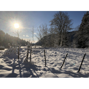 照片 瑞士(Switzerland) 克莱恩-蒙塔纳(Crans Montana) 2020-12 358