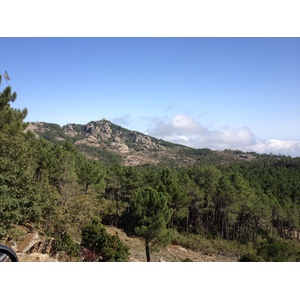 照片 法国(France) 科西嘉岛(Corsica) 奥斯佩达莱森林(L'ospedale Forest) 2012-09 1