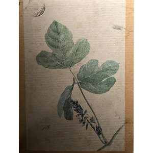 照片 意大利(Italy) 西西里岛(Sicily) 巴勒莫(Palermo) 诺曼王宫(Palazzo dei Normanni) 2020-02 191
