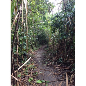 照片 哥斯达黎加(Costa Rica) 卡维塔(Cahuita) 2015-03 124