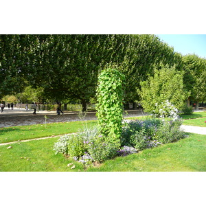照片 法国(France) 巴黎(Paris) 巴黎植物园(Jardin des Plantes) 2007-08 51