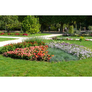 照片 法国(France) 巴黎(Paris) 巴黎植物园(Jardin des Plantes) 2007-08 50