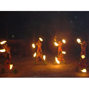 照片 波利尼西亚(Polynesia) 莫雷阿岛(Moorea) 2006-04 83