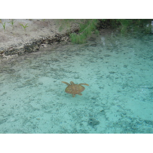 照片 波利尼西亚(Polynesia) 波拉波拉艾美酒店(Meridien Bora Bora Hotel) 2006-04 78