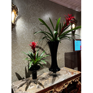 照片 意大利(Italy) 威尼斯(Venice) 达涅利酒店(Danieli Hotel) 2022-05 2