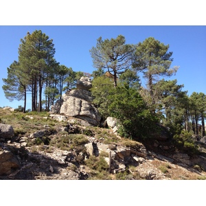 照片 法国(France) 科西嘉岛(Corsica) 奥斯佩达莱森林(L'ospedale Forest) 2012-09 11