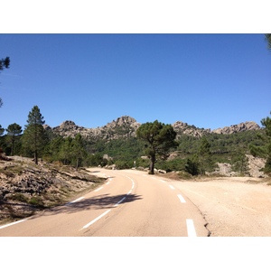 照片 法国(France) 科西嘉岛(Corsica) 奥斯佩达莱森林(L'ospedale Forest) 2012-09 0