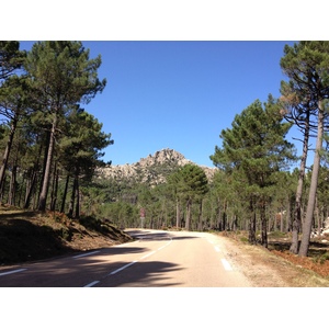 照片 法国(France) 科西嘉岛(Corsica) 奥斯佩达莱森林(L'ospedale Forest) 2012-09 25