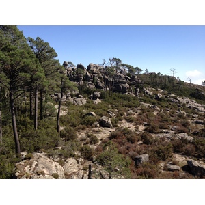 照片 法国(France) 科西嘉岛(Corsica) 奥斯佩达莱森林(L'ospedale Forest) 2012-09 50