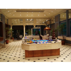 照片 哈萨克斯坦(Kazakhstan) 阿拉木图(Almaty) 阿拉木图洲际酒店(Intercontinental Almaty Hotel) 2007-03 66