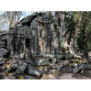 照片 柬埔寨(Cambodia) 暹粒(Siem Reap) 塔布茏寺(Ta Prohm) 2023-01 69