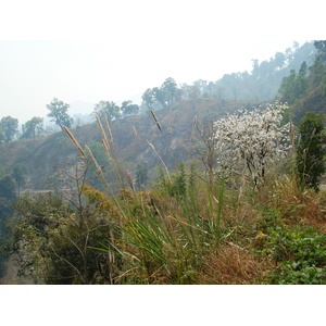 照片 泰国(Thailand) 邦玛帕至拜县公路(Pang Mapha to Pai road) 2007-02 66