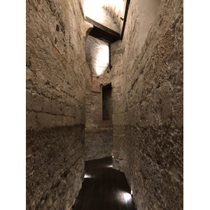 照片 意大利(Italy) 西西里岛(Sicily) 巴勒莫(Palermo) 诺曼王宫(Palazzo dei Normanni) 2020-02 8