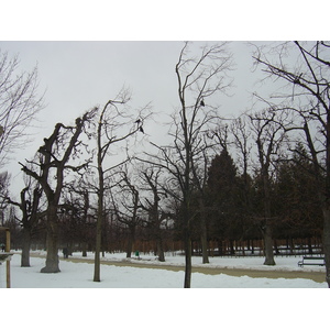 照片 奥地利(Austria) 维也纳(Vienna) 2005-03 45