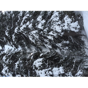 照片 法国(France) 梅杰夫(Megeve) 2016-02 62