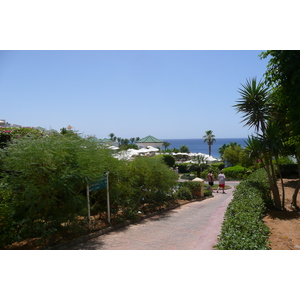 照片 埃及(Egypt) 沙姆沙伊赫(Sharm el Sheikh) 凯悦酒店(Hyatt Hotel) 2008-06 13
