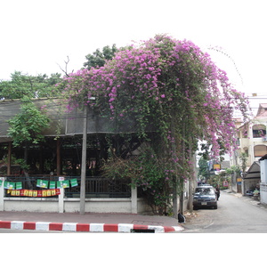 照片 泰国(Thailand) 清迈(Chiang Mai) 护城河内(Inside Canal) 阿拉路（护城河）(Arrak Road(Canal)) 2006-04 15