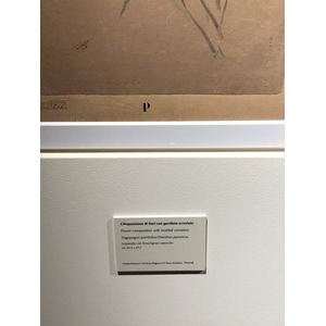 照片 意大利(Italy) 西西里岛(Sicily) 巴勒莫(Palermo) 诺曼王宫(Palazzo dei Normanni) 2020-02 223