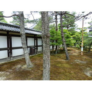照片 日本(Japan) 京都(Kyoto) 二条城(Nijo Castle) 本丸御殿(Honmaru Palace) 2010-06 61