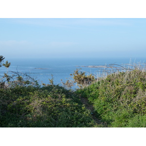 照片 法国(France) 圣库隆(St Coulomb) 2010-04 18