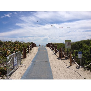 照片 美国(United States) 迈阿密海滩(Miami Beach) 2015-03 94