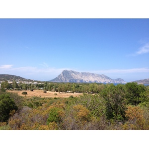 照片 意大利(Italy) 撒丁岛(Sardinia) 马尾角(Capo Coda Cavallo) 2015-06 65